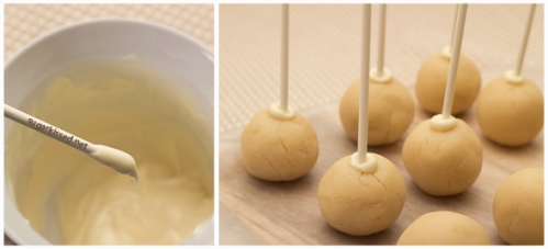 How-To-Make-Cake-Pops-sugarkissed.net_